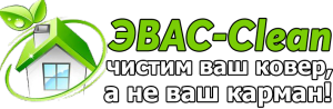 ЭВАС-Clean выездная химчистка